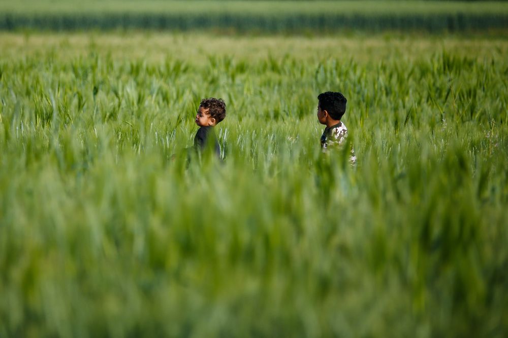 Photograph by Islam Traikia