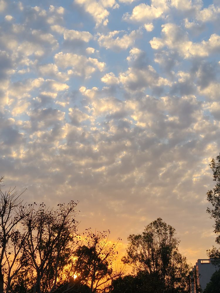 Photograph by RAJ Pandaw