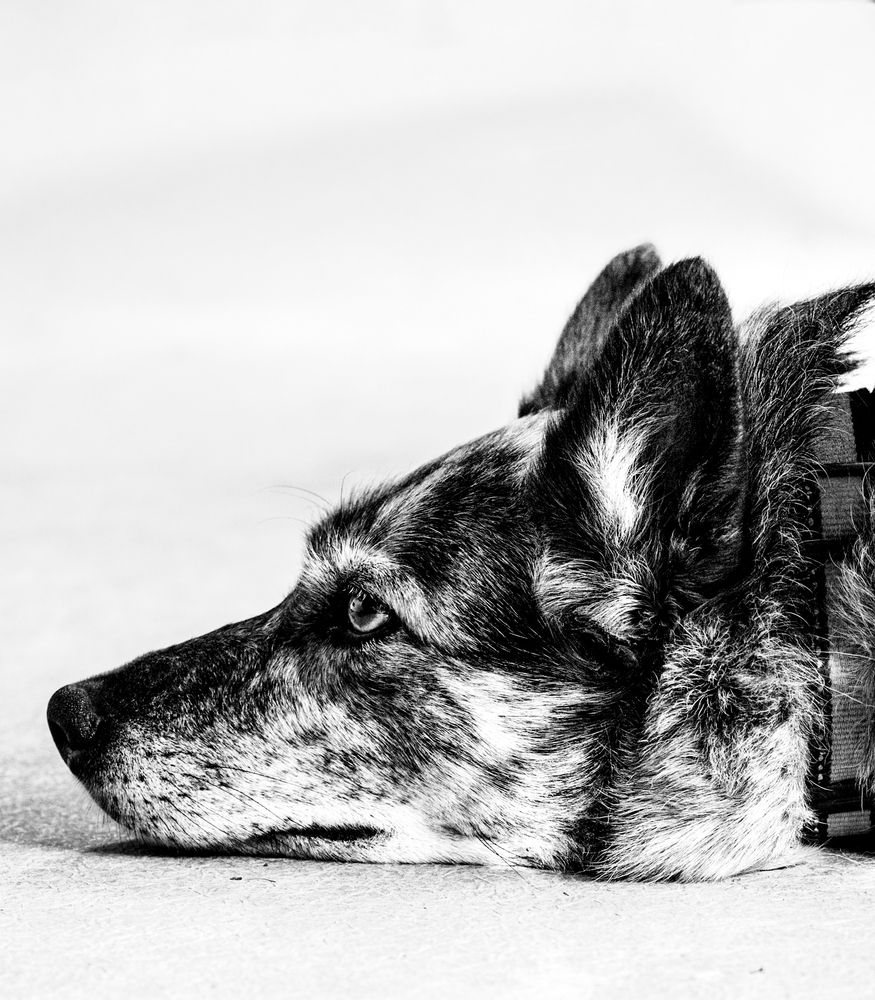 Photograph by Jasmin Lepage
