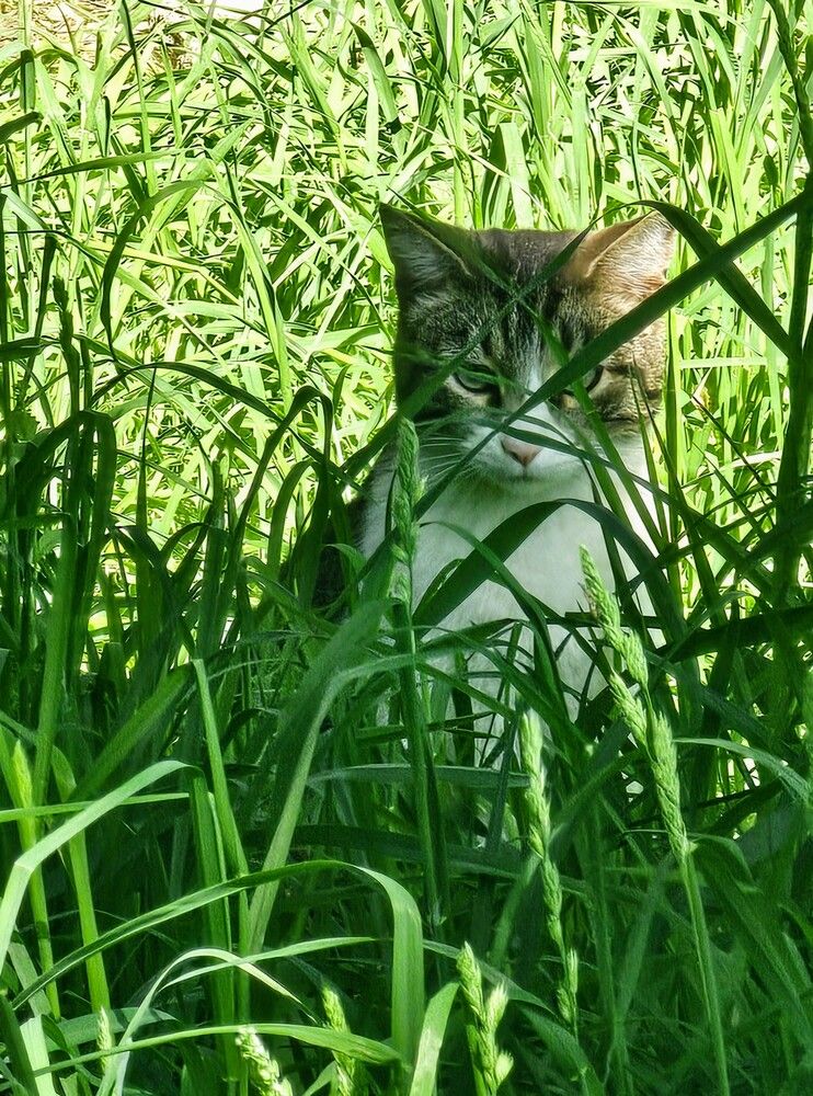 Photograph by Людмила Локтионова
