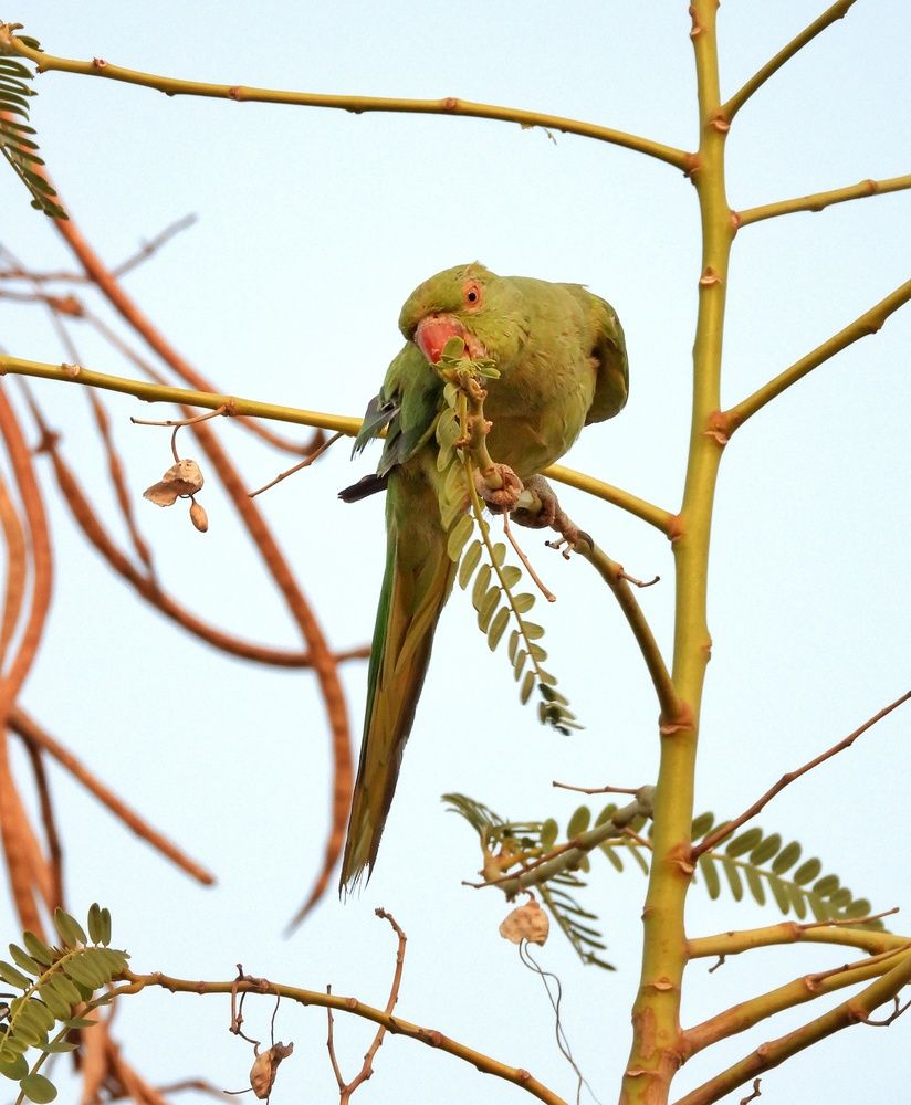 Photograph by Akash Rajurkar