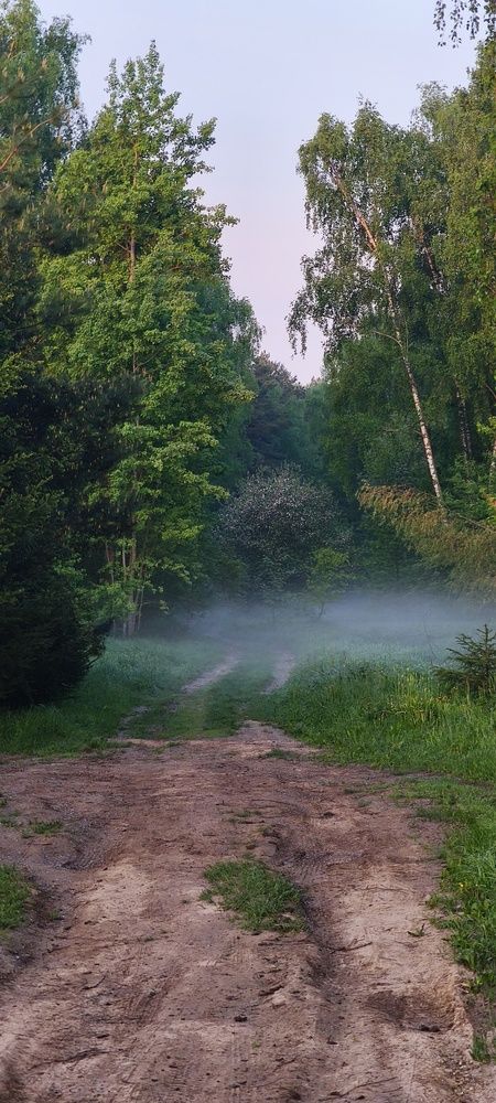 Photograph by Андрей Смыслов