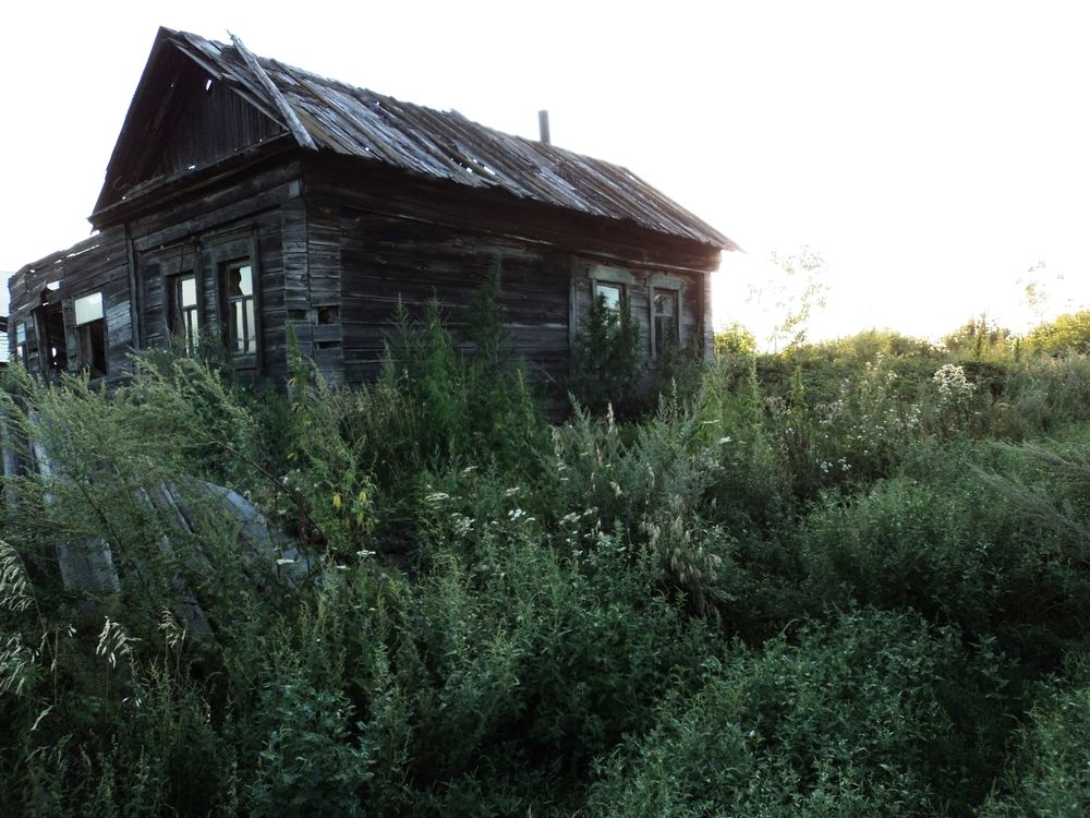 Photo #13600564