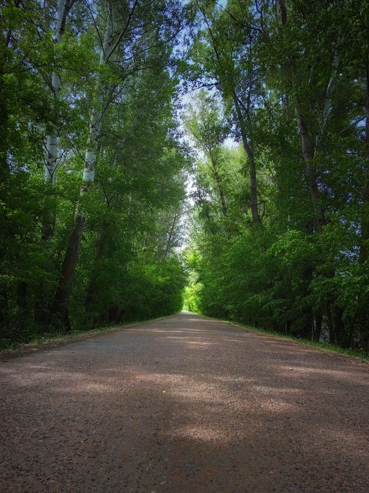 Photograph by Сергей Зайцев