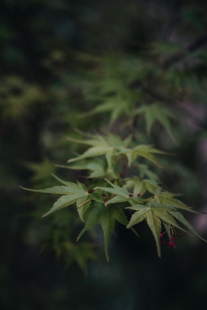 Photograph by Александра Шилова