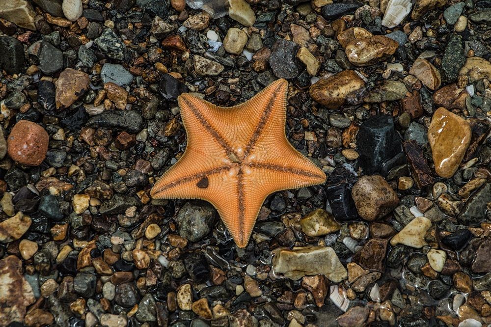 Photograph by Юлия