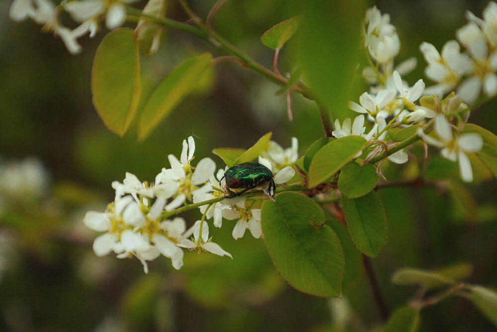 Photograph by Елена Сиднина