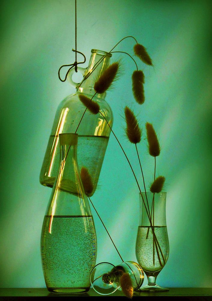 Photograph by Александр Зарх