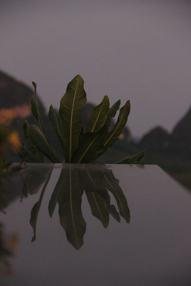 Photograph by Алёна Анфимова