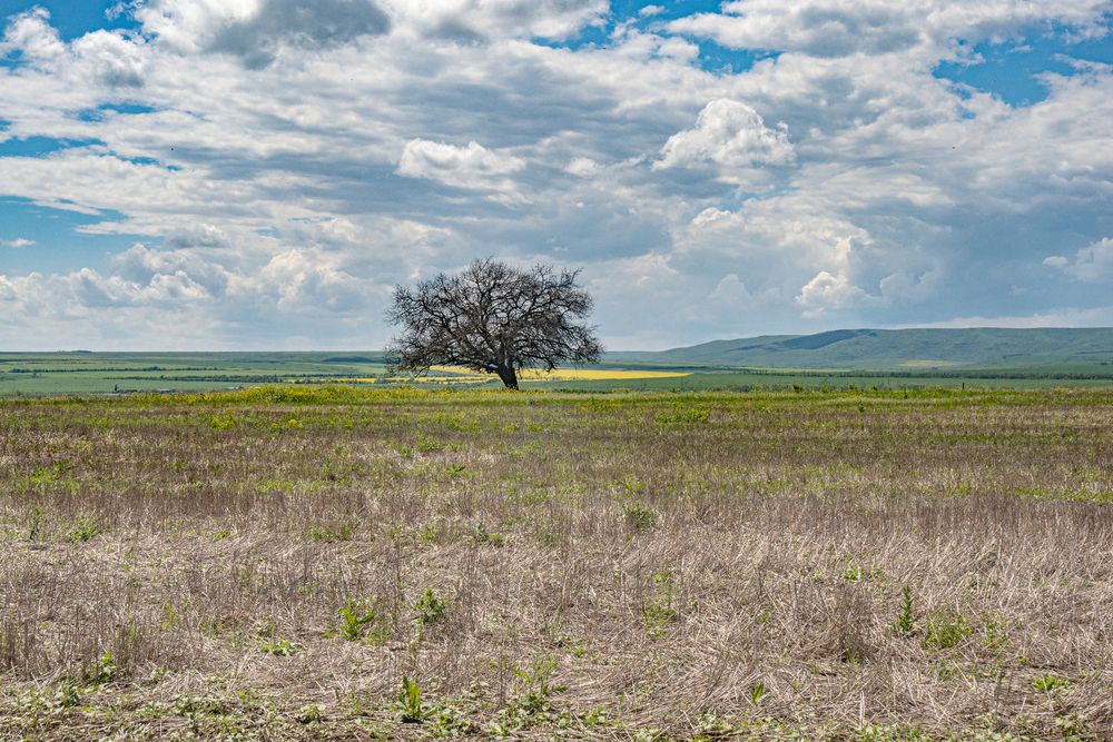 Photograph by Виталий Маслов