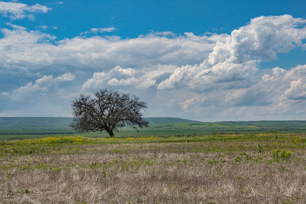 Photograph by Виталий Маслов