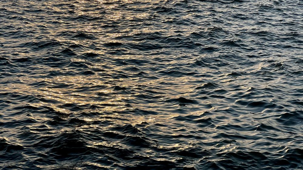 Fragments of Light