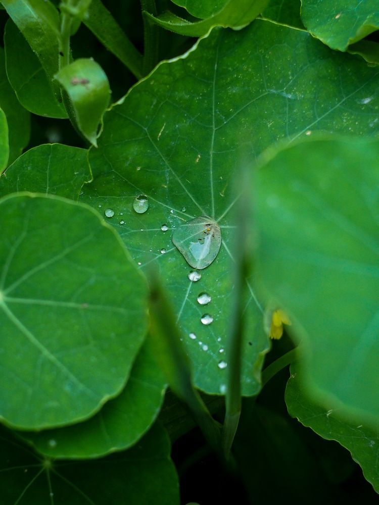 Photograph by Таращук Евгений