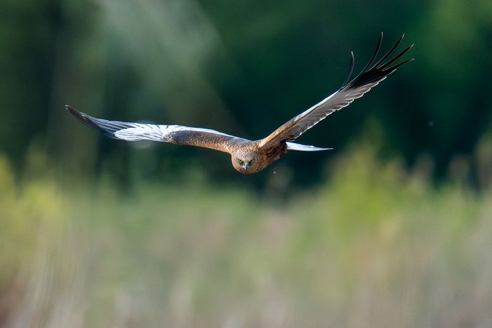 Фотография автора Łukasz