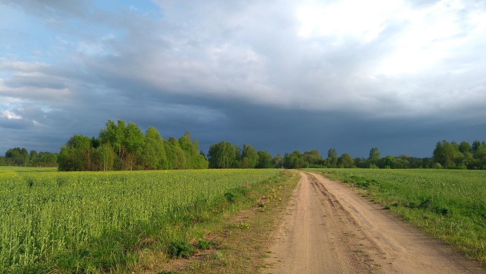 Фотография автора Татьяна Гореленкова