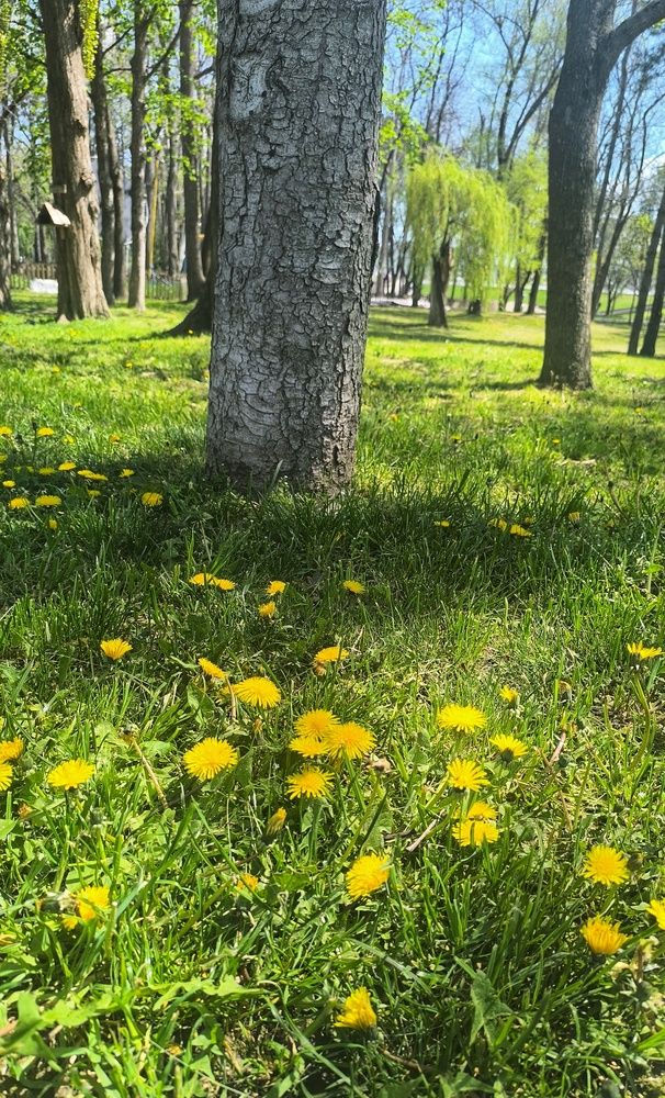 Photograph by Андрей Прокопенко