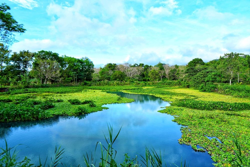 Photograph by Sharel Albor