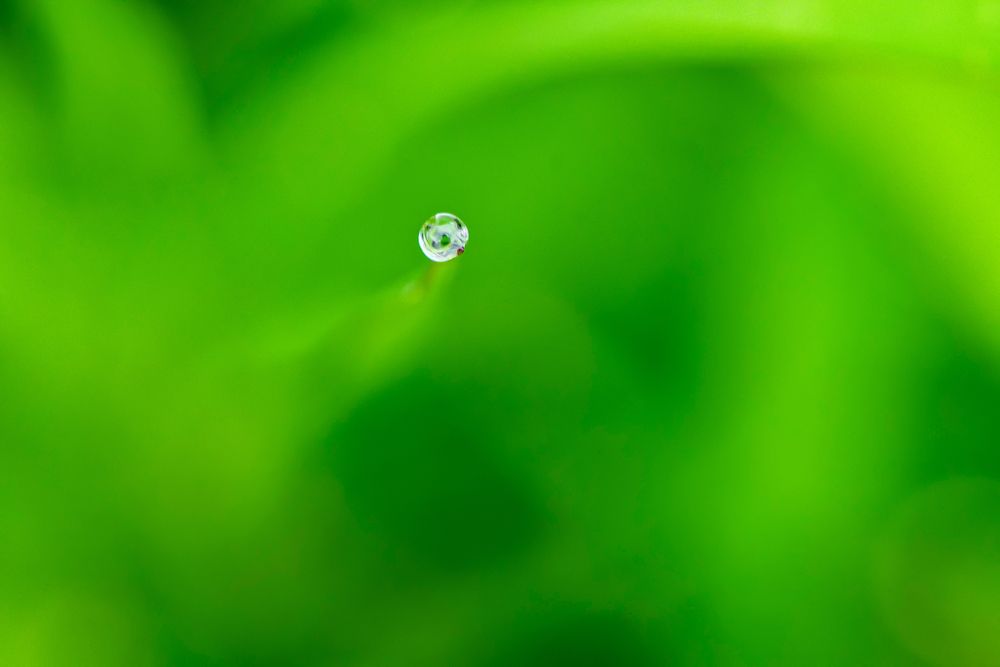 Photograph by Sharel Albor