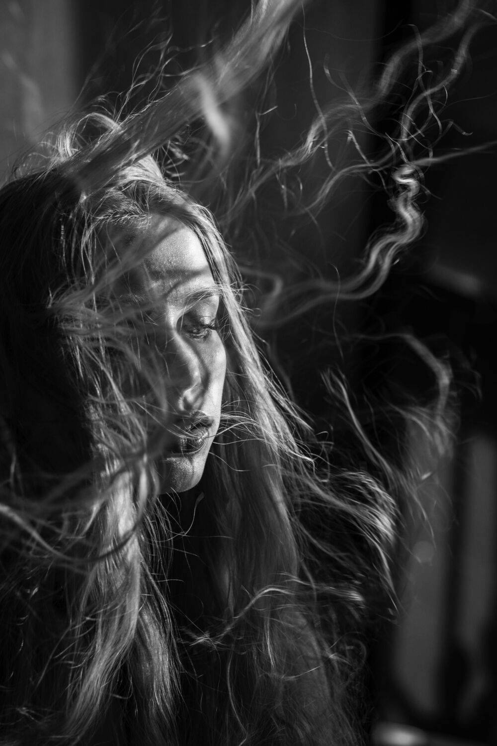 Photo #13601003