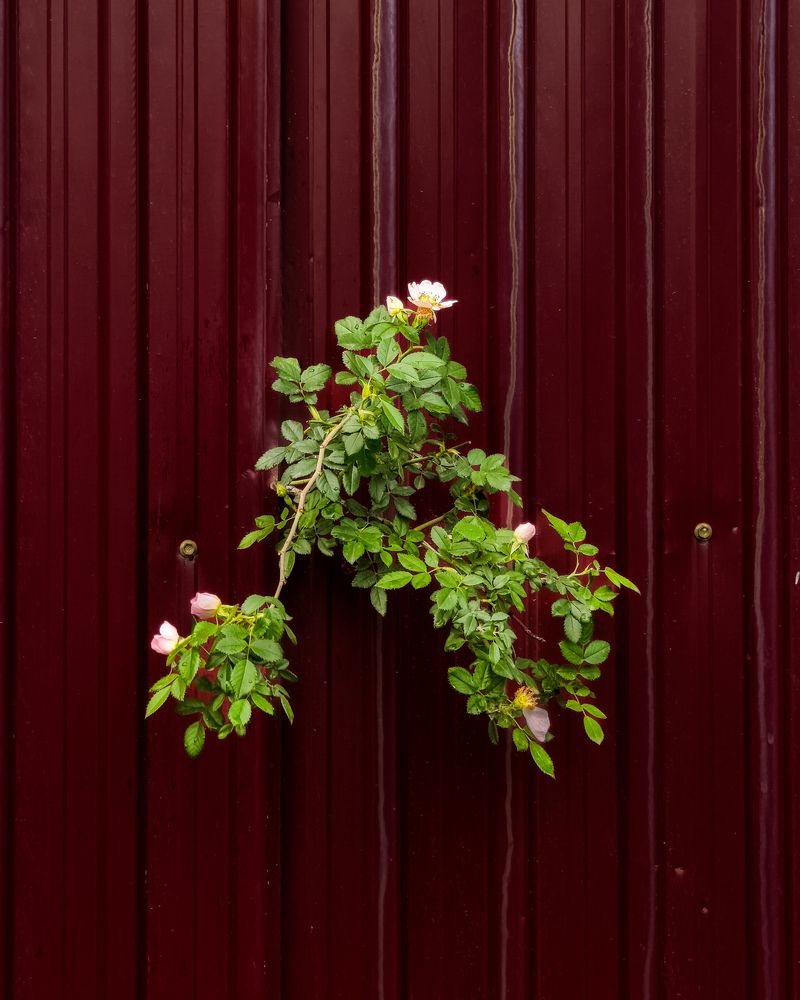 Photograph by Владимир Ли