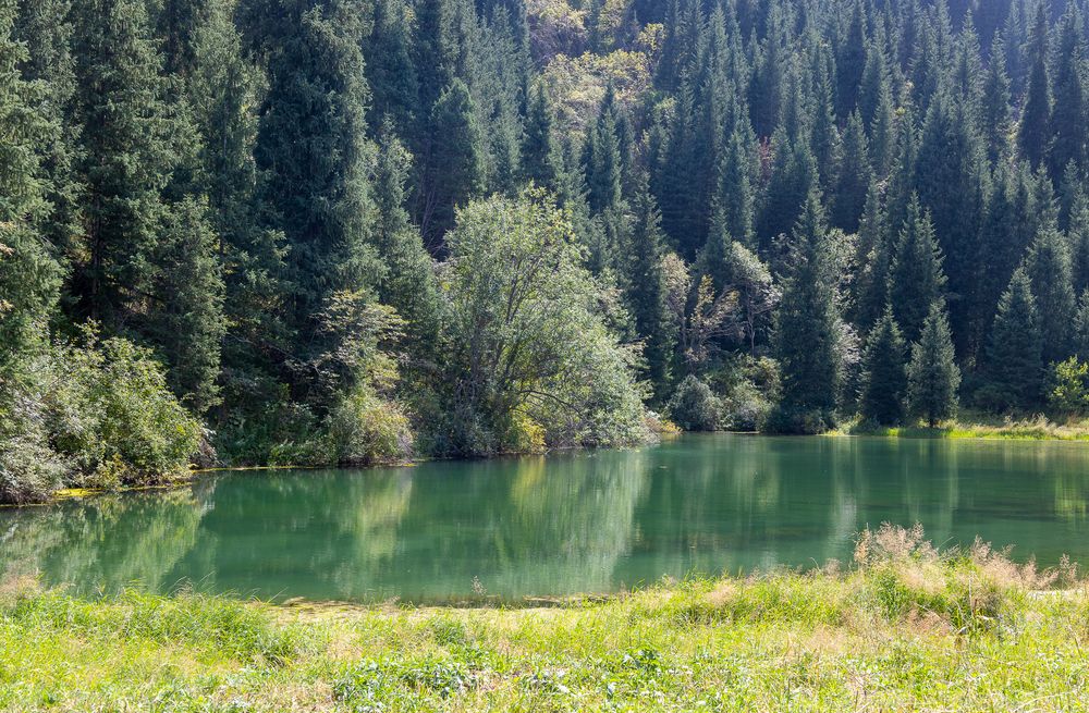 Photograph by Наталья Катюжанская