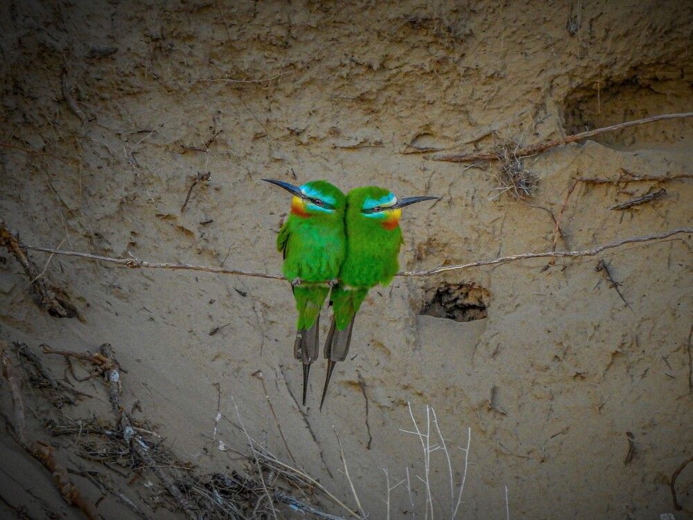 Photograph by Ринат Хайбулин