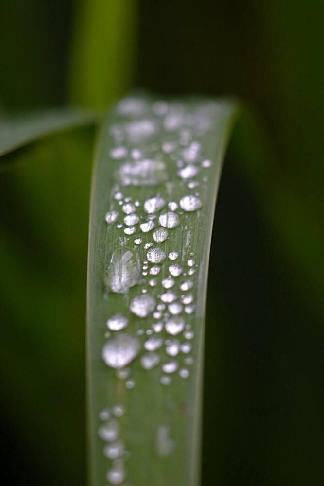 Photograph by Евгений Беленков