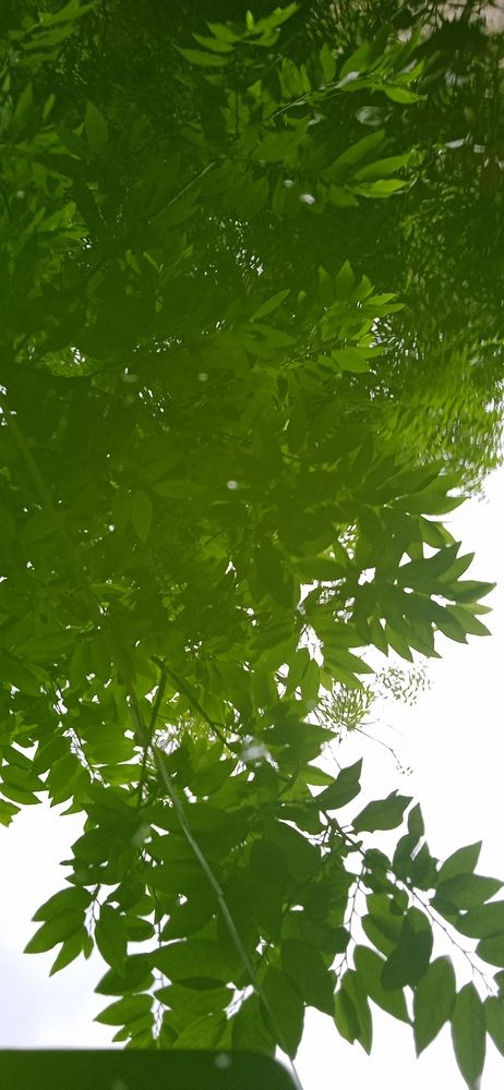 Photograph by Yasha Akhtar
