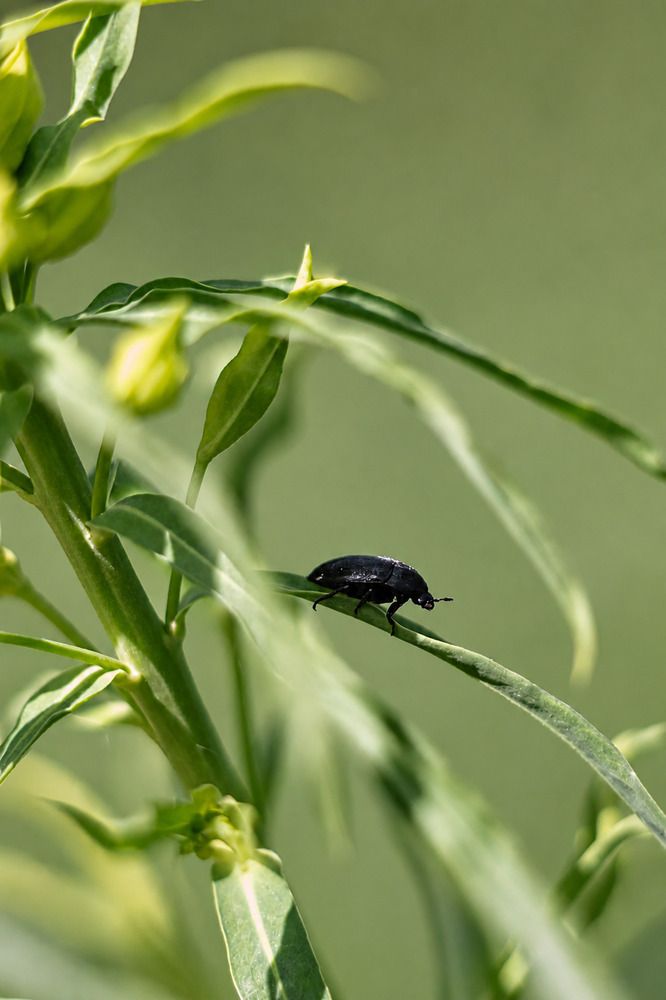 Photograph by Кучеренко Анастасия