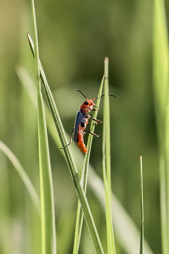 Photograph by Кучеренко Анастасия