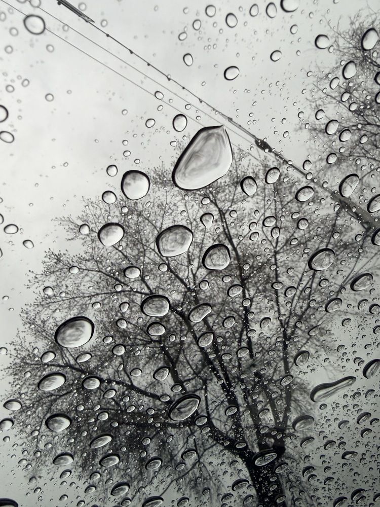Photograph by Галиуллина Эвелина