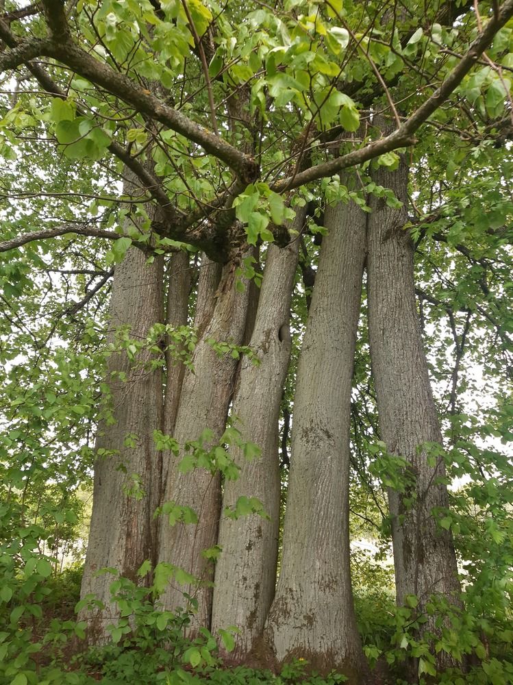 Photograph by Елизавета Иванова