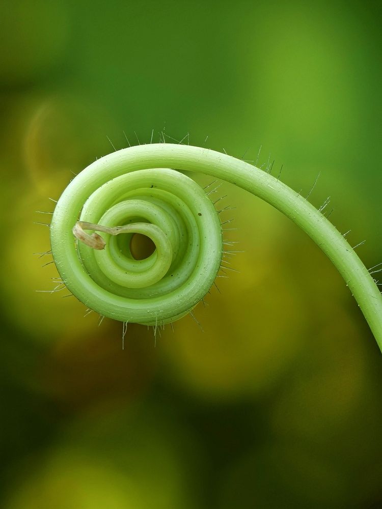 Photograph by Noor Azhar Abd Rasid