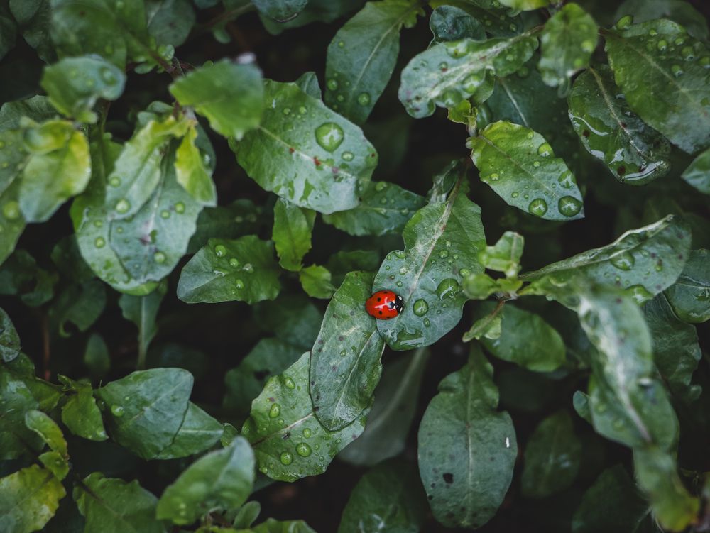 Photograph by Христина Сергейчик