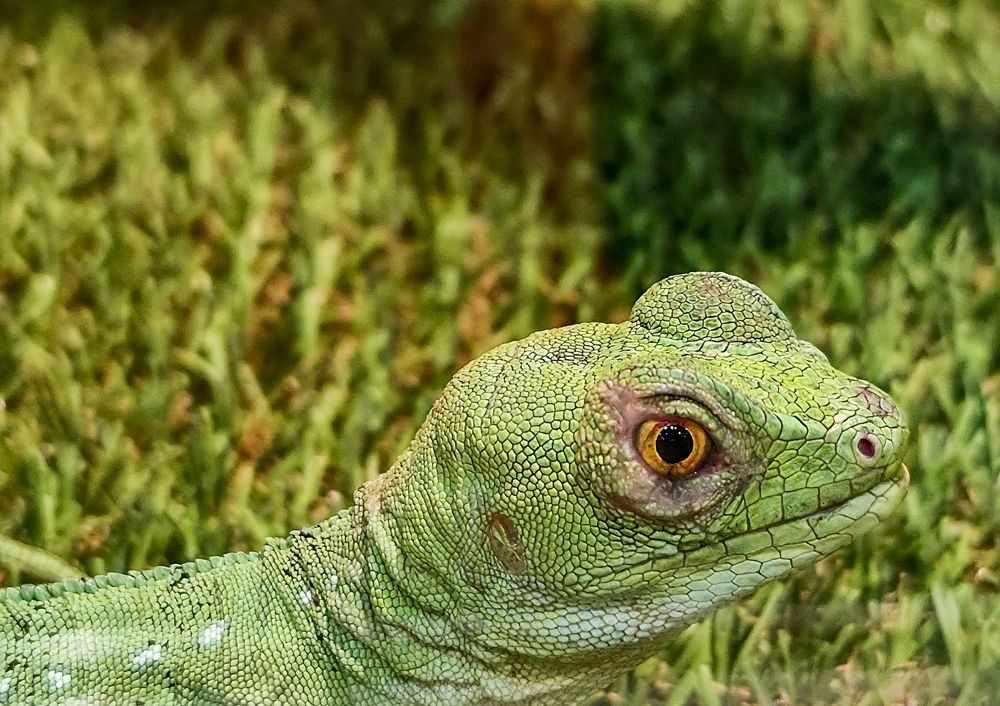 Photograph by Ирина Шибитова