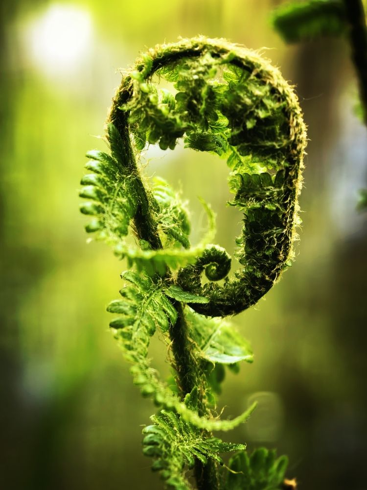Photograph by Елена Охапкина