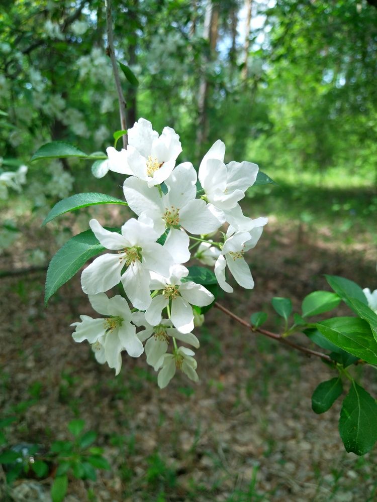 Photograph by Елена