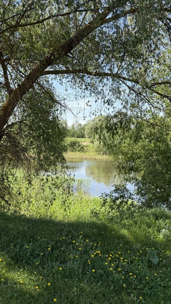 Photograph by Елена Гущина