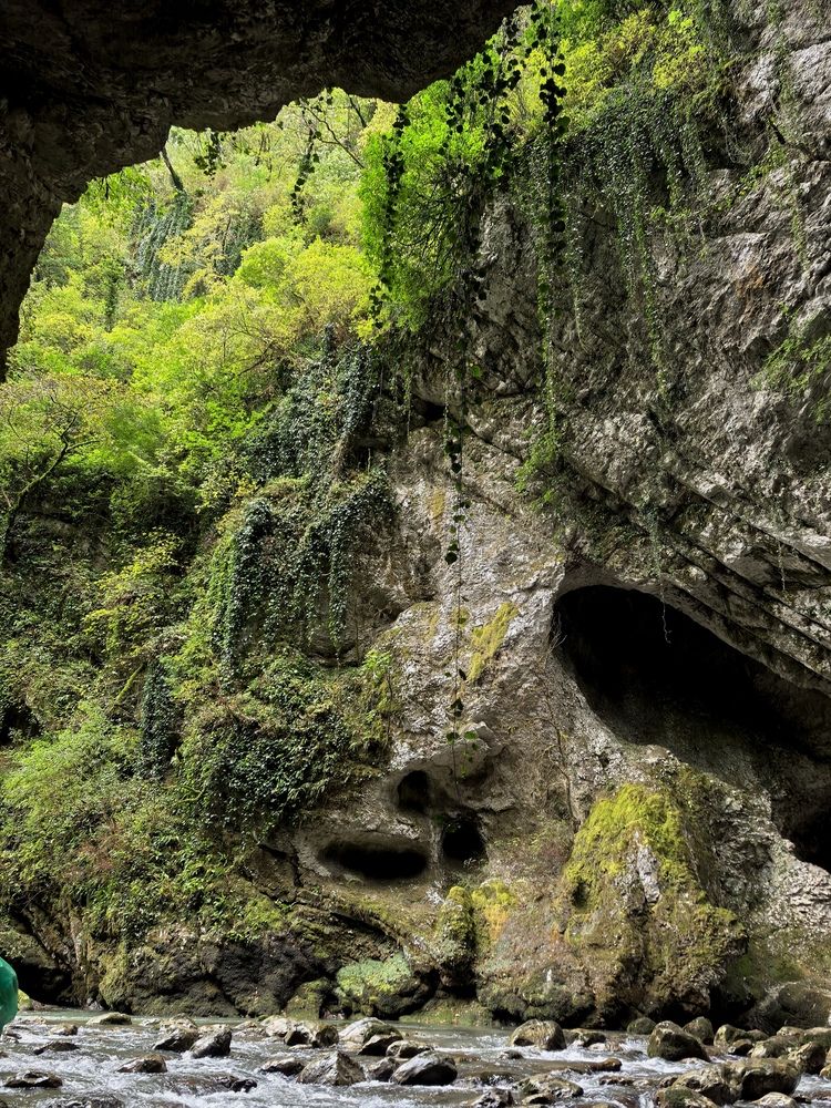 The Face of Nature