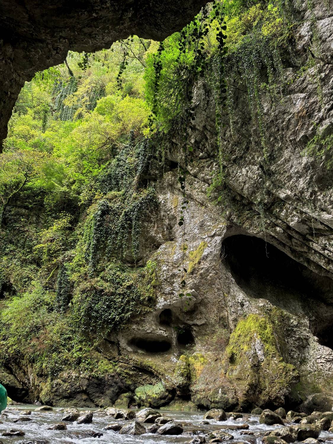 The Face of Nature