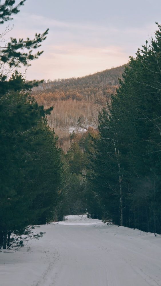 Photograph by Елена Федоткина