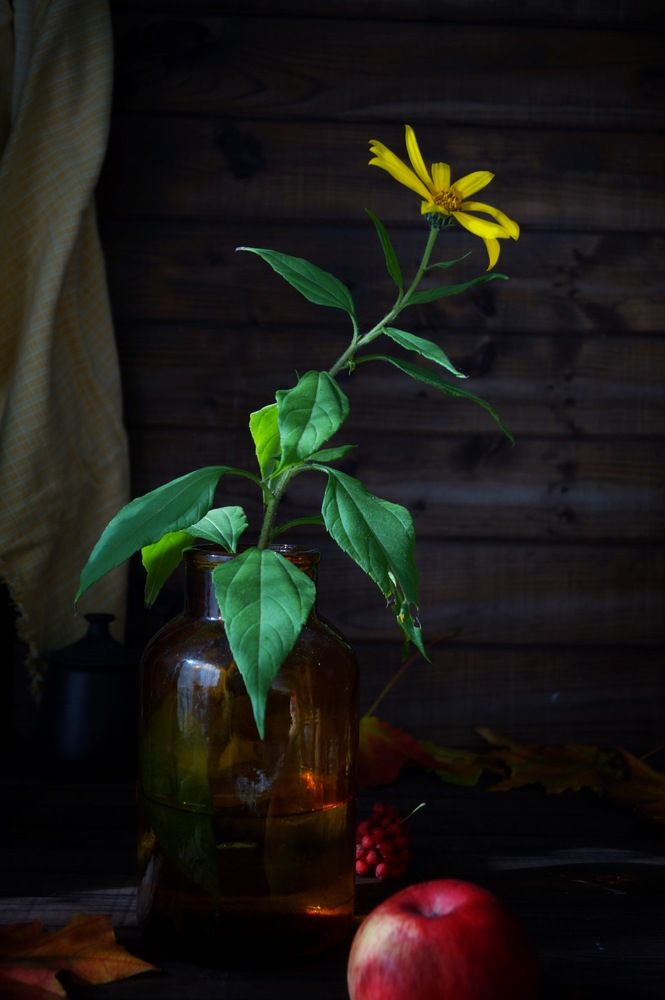 Photograph by Swetlana Smiryagina