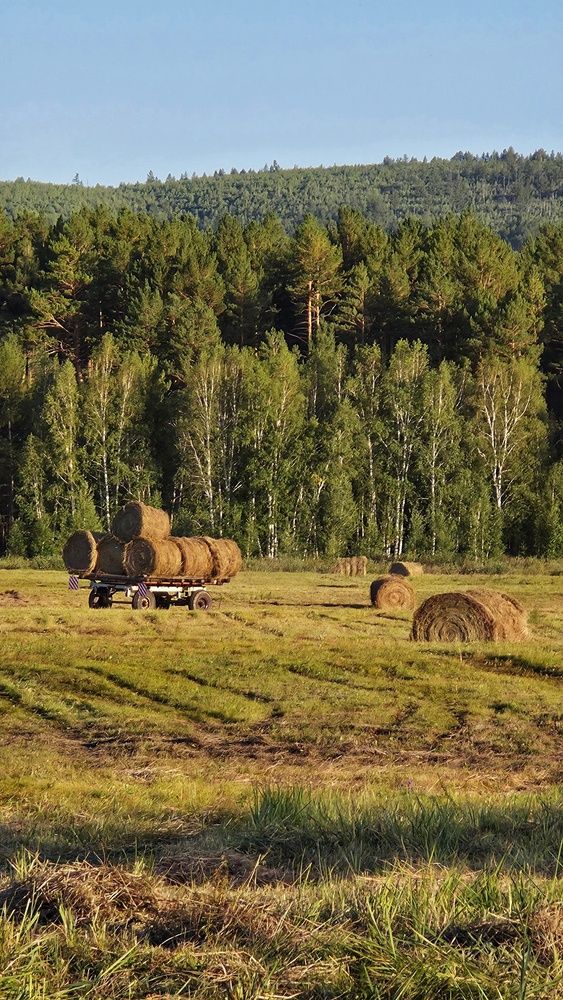Photograph by Елена Федоткина