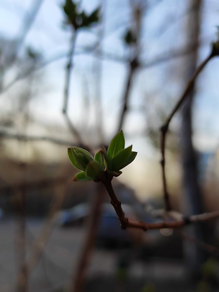 Photograph by Анна