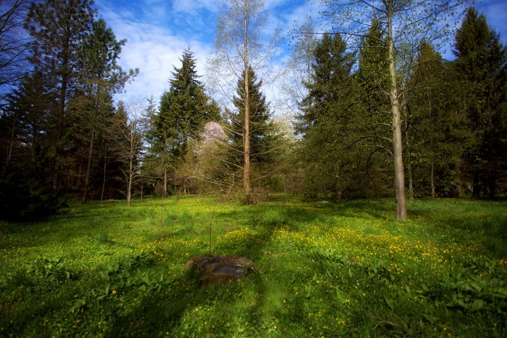Photograph by Виктор Савельев