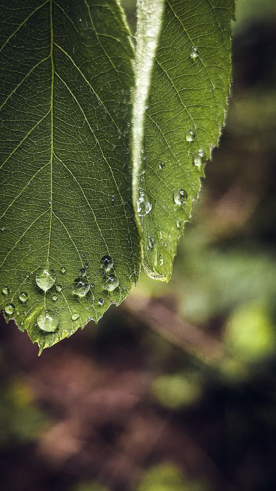 Photograph by Инна Невар