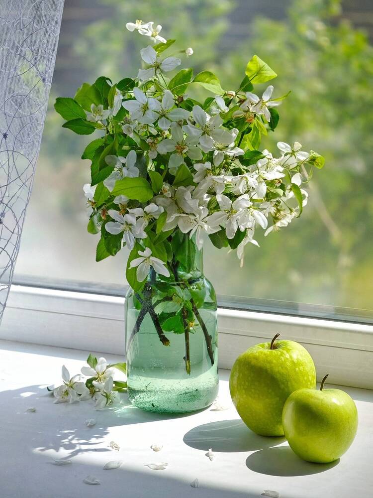 Photograph by Екатерина Зязина