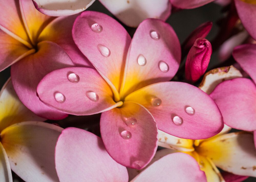Photograph by Malinda Badenhorst