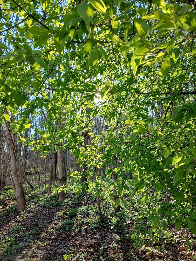Photograph by Ольга Юрченко
