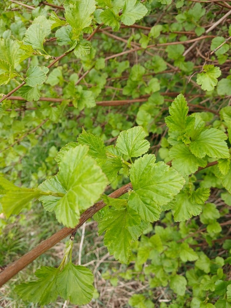 Photograph by Ольга Юрченко